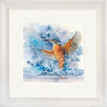 Load image into Gallery viewer, Colourful Kingfisher