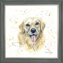 Load image into Gallery viewer, Gwenn
