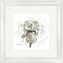 Load image into Gallery viewer, Grey Iris