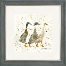 Load image into Gallery viewer, The Three Duckgrees