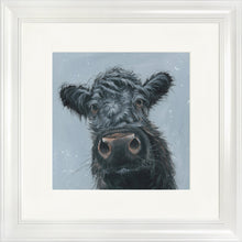 Load image into Gallery viewer, Madge