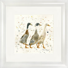Load image into Gallery viewer, The Three Duckgrees
