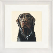 Load image into Gallery viewer, Amos