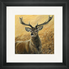 Load image into Gallery viewer, Sterling