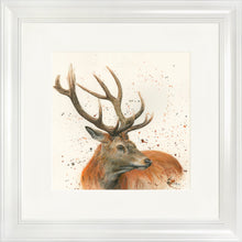 Load image into Gallery viewer, Sutherland