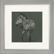 Load image into Gallery viewer, Zoe Grey