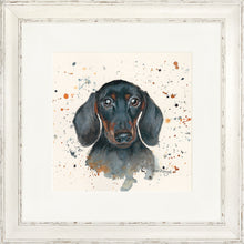 Load image into Gallery viewer, Sid