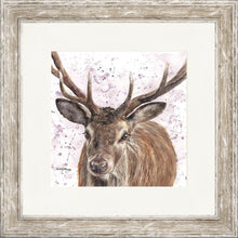 Load image into Gallery viewer, Sargent