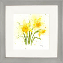 Load image into Gallery viewer, Daffodils