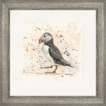 Load image into Gallery viewer, Petula