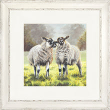 Load image into Gallery viewer, Yakkety Yak