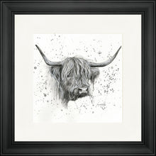 Load image into Gallery viewer, Donal