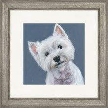 Load image into Gallery viewer, Finley