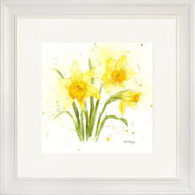 Load image into Gallery viewer, Daffodils