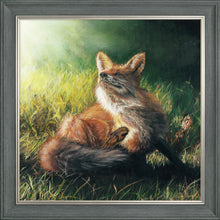 Load image into Gallery viewer, Finn