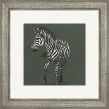 Load image into Gallery viewer, Zoe Grey
