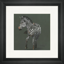 Load image into Gallery viewer, Zoe Grey