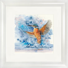 Load image into Gallery viewer, Colourful Kingfisher