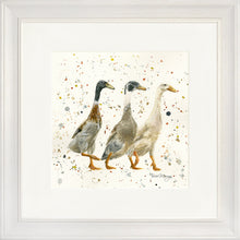 Load image into Gallery viewer, The Three Duckgrees
