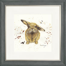 Load image into Gallery viewer, Benji
