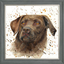 Load image into Gallery viewer, Cooper