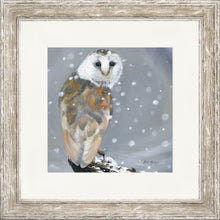 Load image into Gallery viewer, Ogilvie