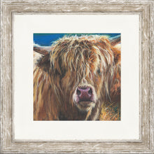 Load image into Gallery viewer, Hetty