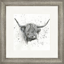 Load image into Gallery viewer, Donal