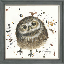 Load image into Gallery viewer, Orson