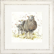 Load image into Gallery viewer, I Can See Ewe