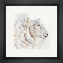 Load image into Gallery viewer, Shona