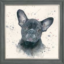 Load image into Gallery viewer, Fifi