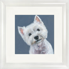 Load image into Gallery viewer, Finley