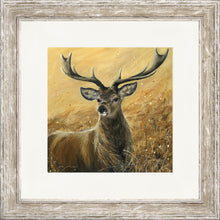 Load image into Gallery viewer, Sterling