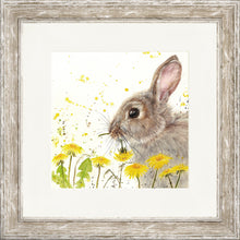 Load image into Gallery viewer, Dandelion Delight