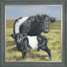 Load image into Gallery viewer, Belties