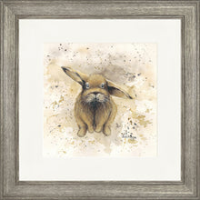Load image into Gallery viewer, Colourful Benji