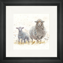 Load image into Gallery viewer, Ewe Beauties