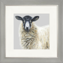 Load image into Gallery viewer, Shelley