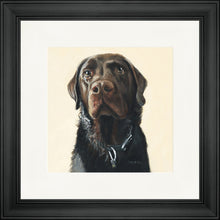 Load image into Gallery viewer, Amos