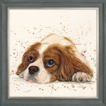 Load image into Gallery viewer, Kendall