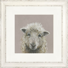 Load image into Gallery viewer, Suzy