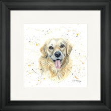 Load image into Gallery viewer, Gwenn