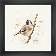 Load image into Gallery viewer, Gordon