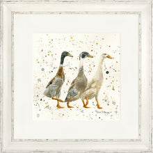 Load image into Gallery viewer, The Three Duckgrees