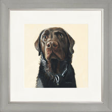 Load image into Gallery viewer, Amos