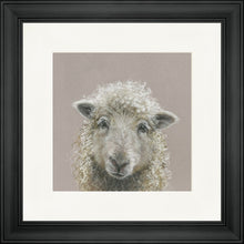 Load image into Gallery viewer, Suzy