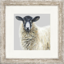 Load image into Gallery viewer, Shelley
