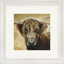 Load image into Gallery viewer, Colourful Hamish