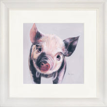 Load image into Gallery viewer, Pedro